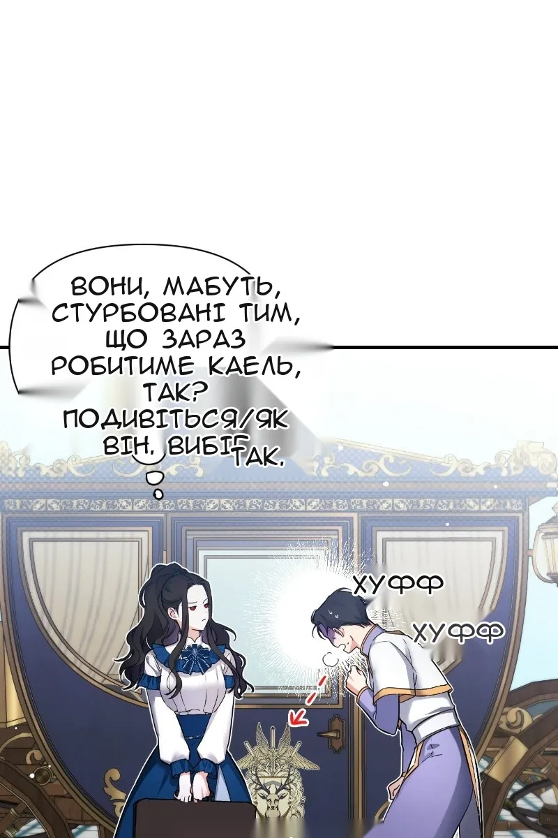 Сторінка 15
