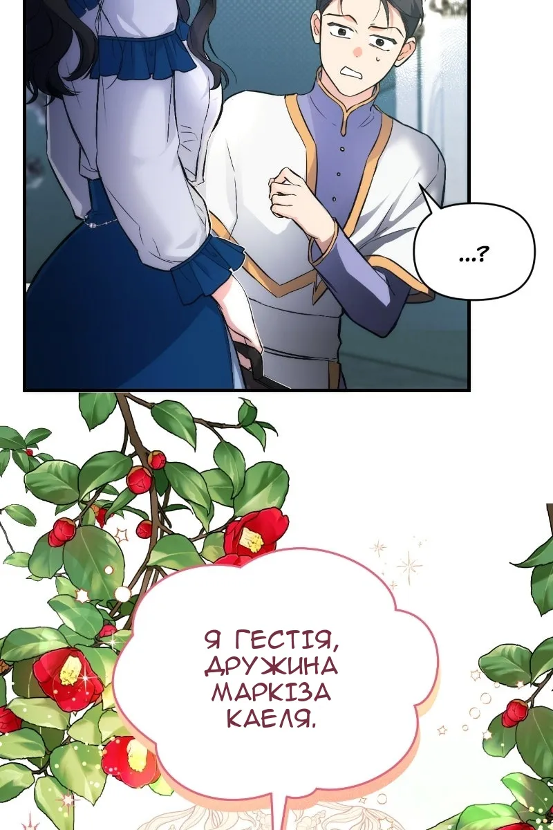 Сторінка 17