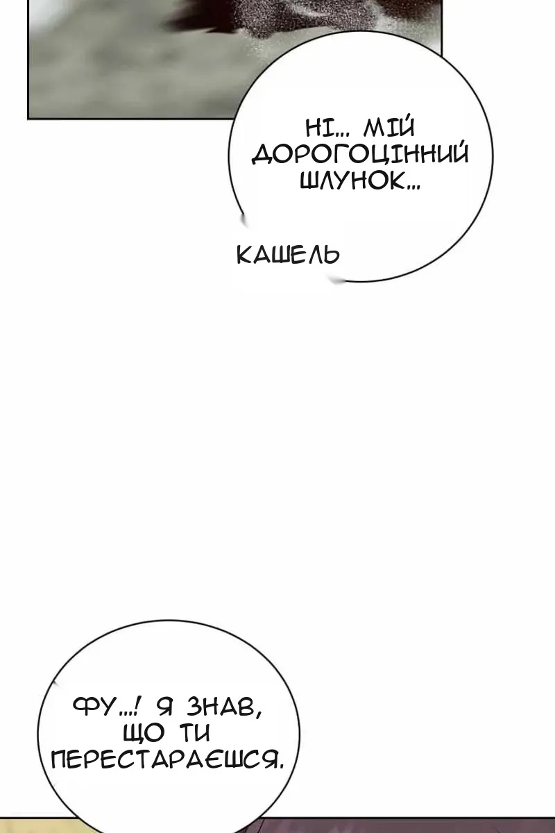 Сторінка 17