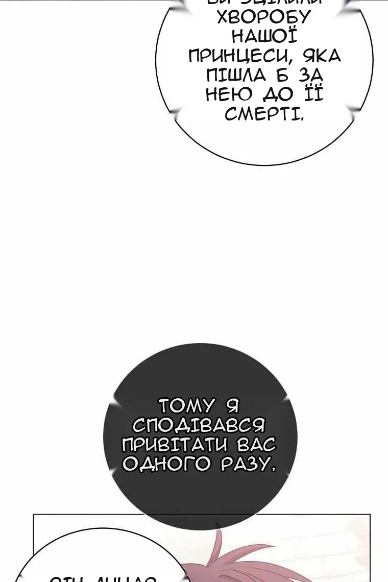 Сторінка 31