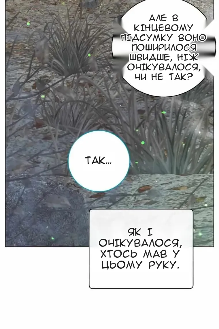 Сторінка 35