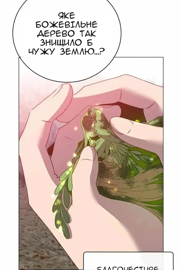 Сторінка 47
