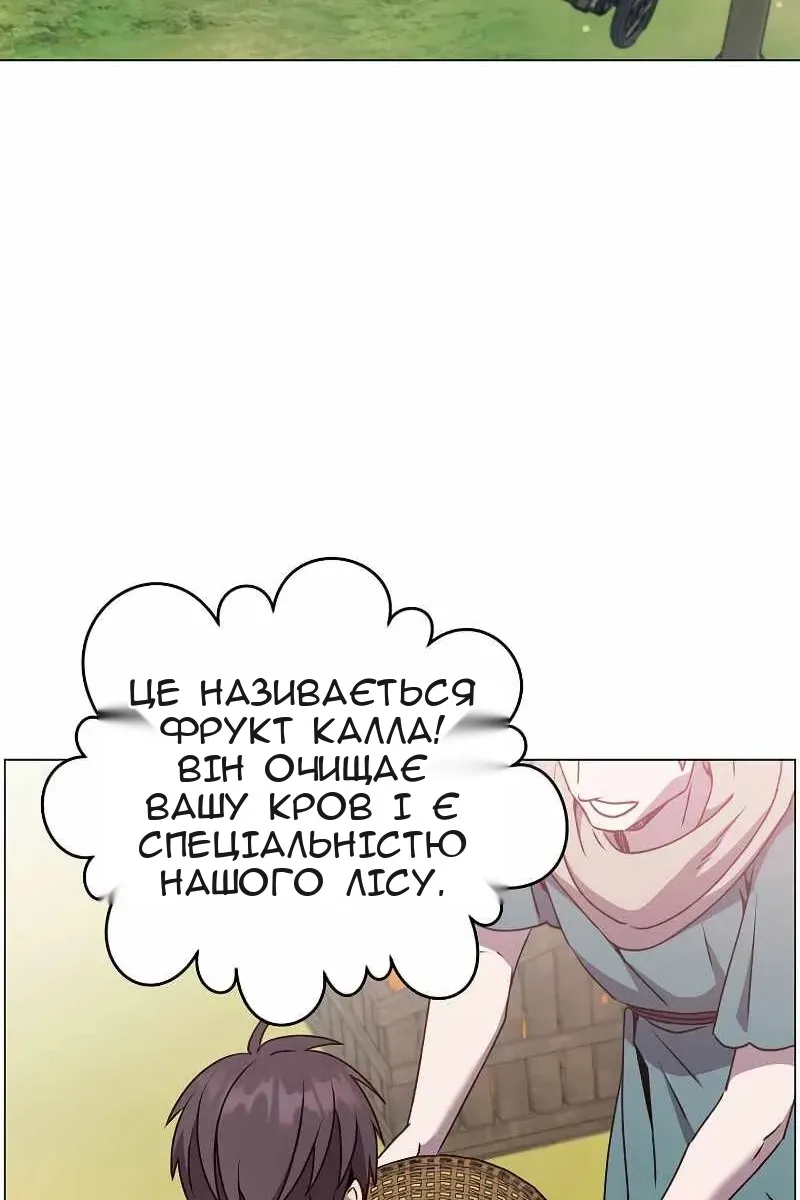 Сторінка 29