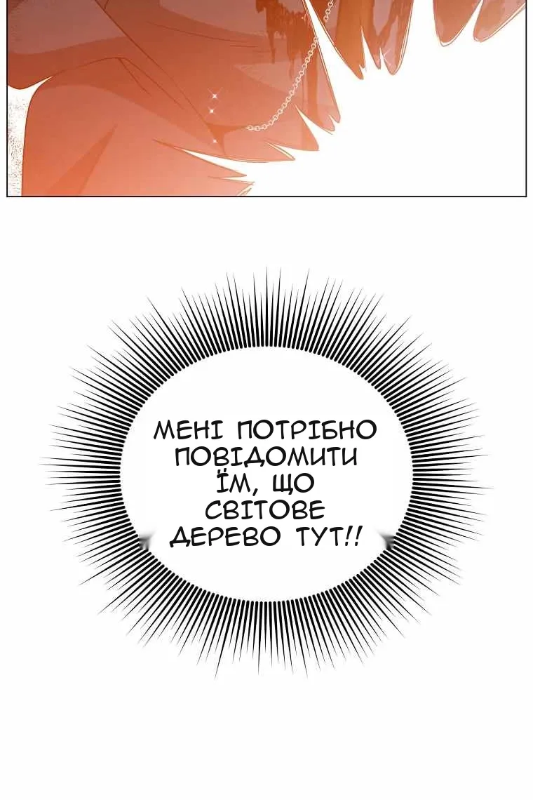 Сторінка 11