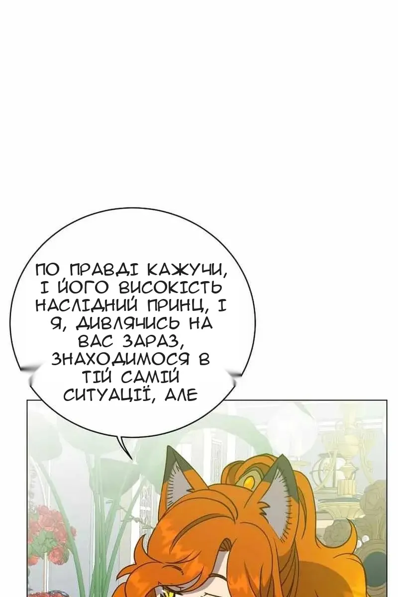 Сторінка 31