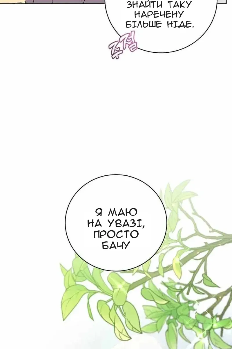 Сторінка 37