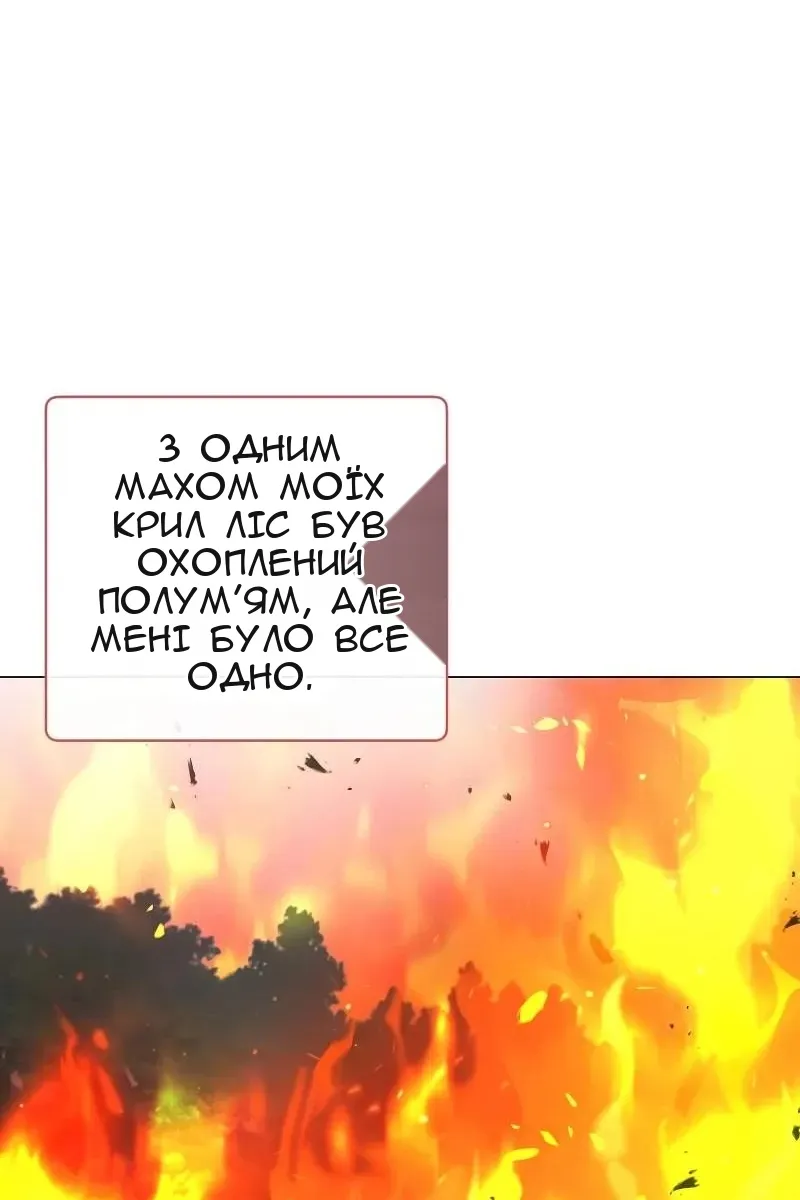 Сторінка 14