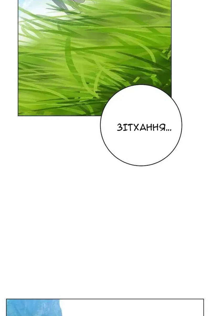 Сторінка 43