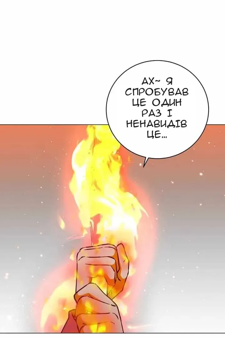 Сторінка 17