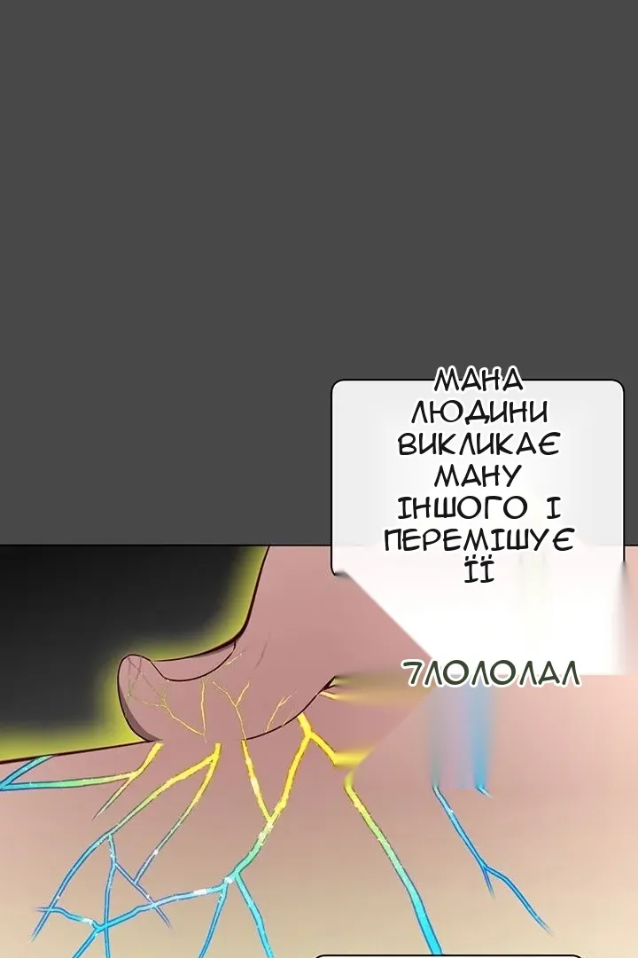 Сторінка 29