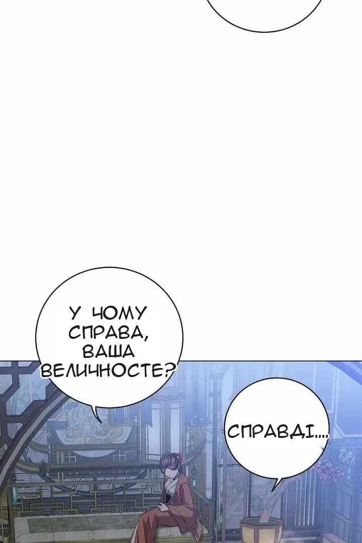 Сторінка 31