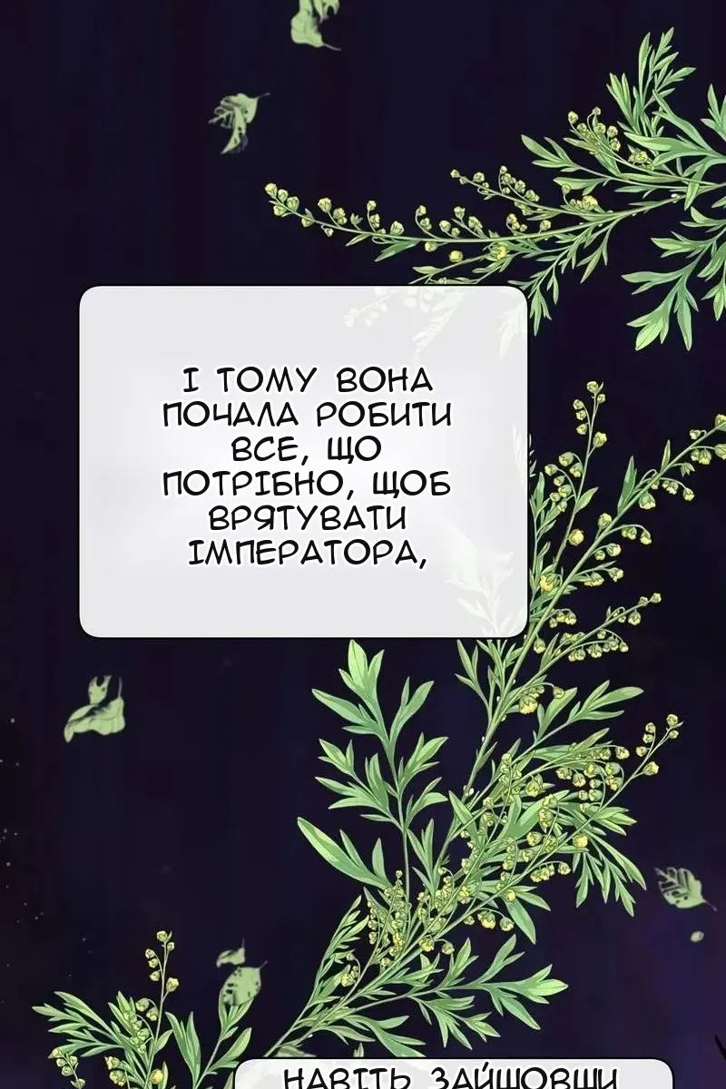 Сторінка 5