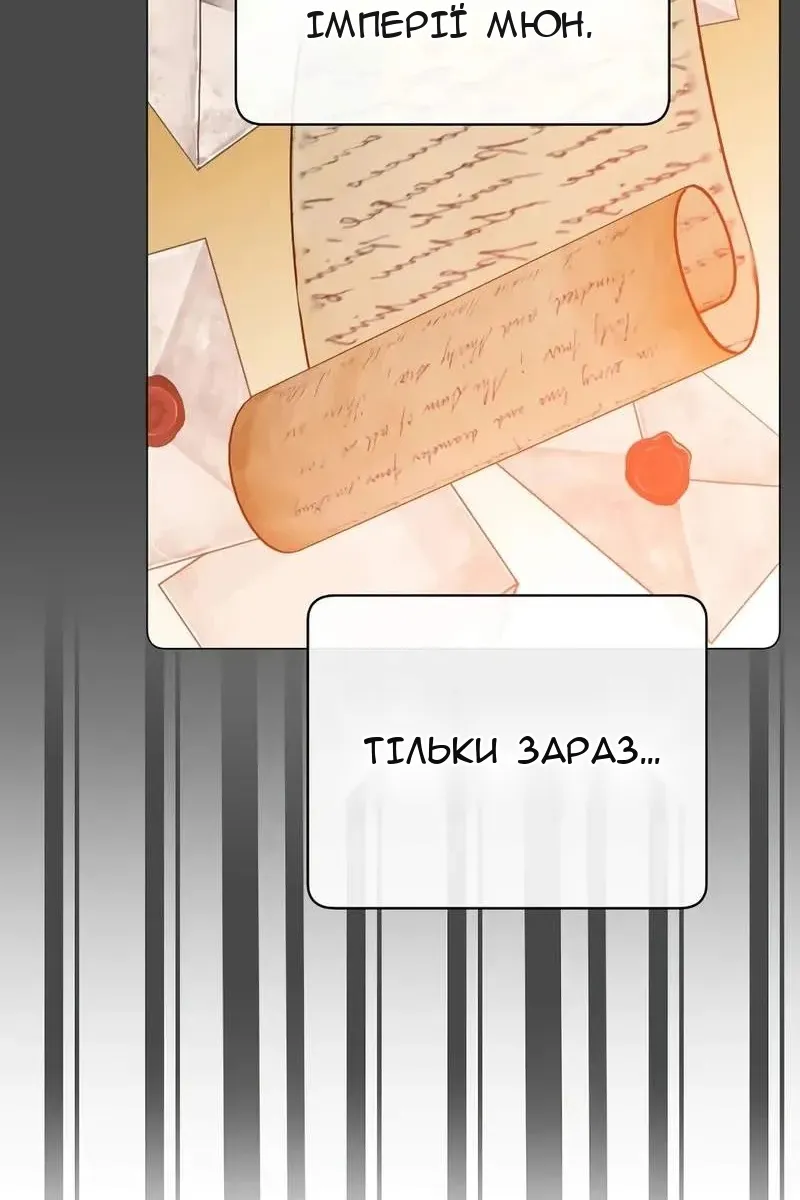 Сторінка 11