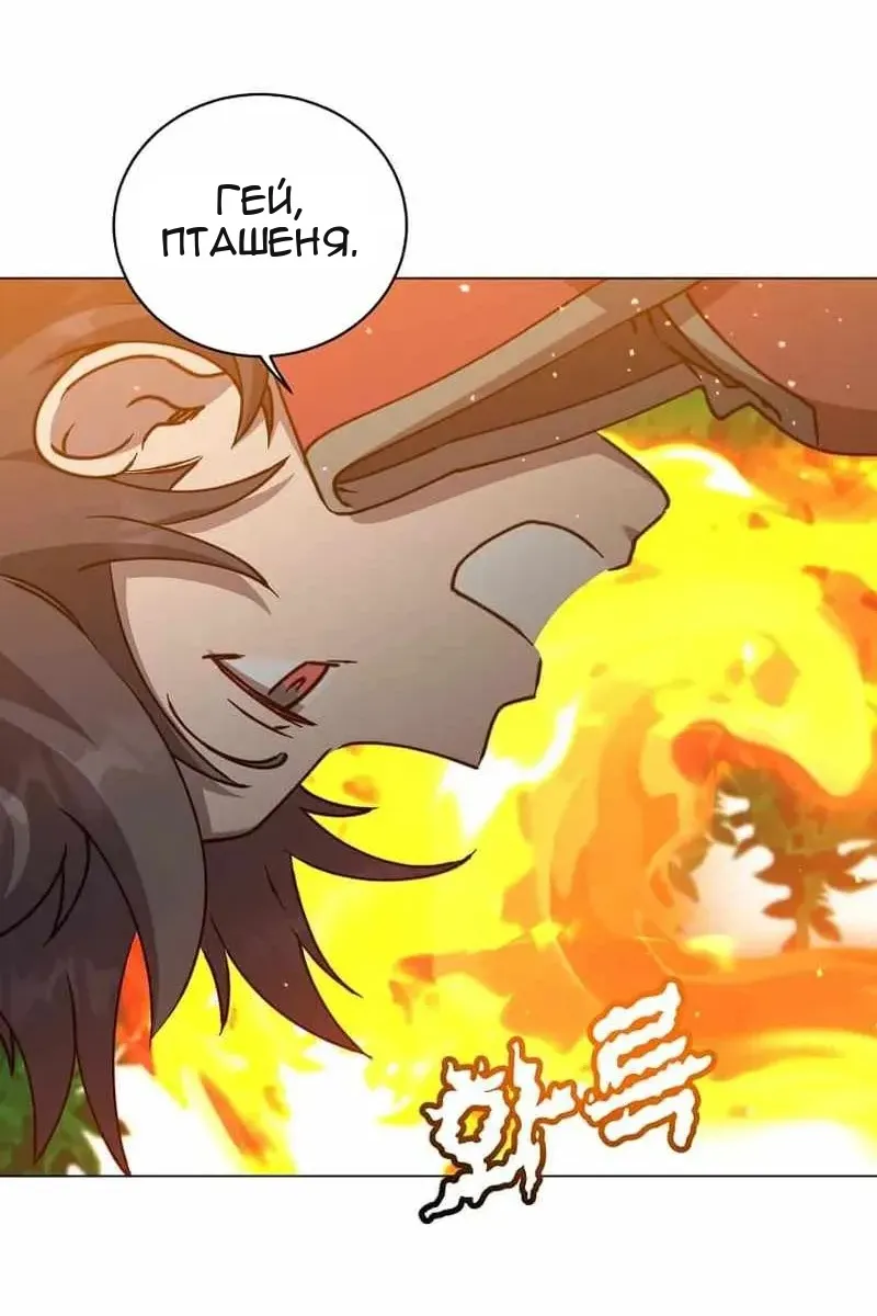 Сторінка 6