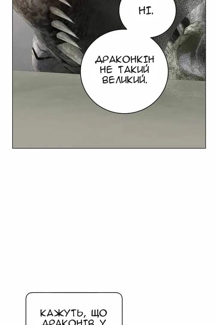 Сторінка 21