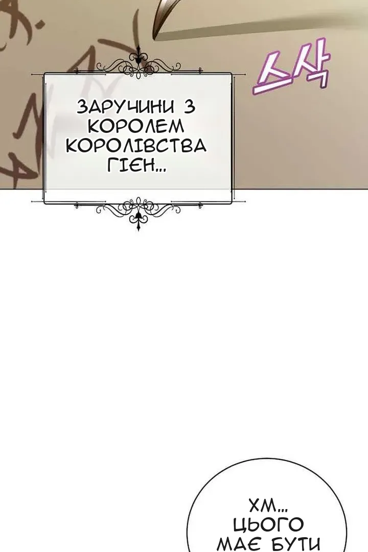 Сторінка 29