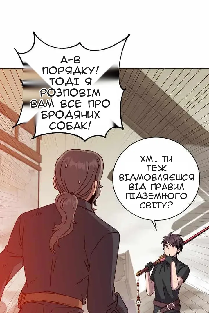 Сторінка 29