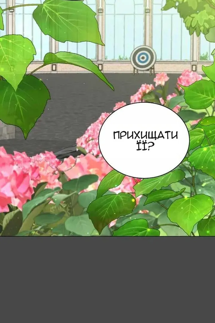 Сторінка 26