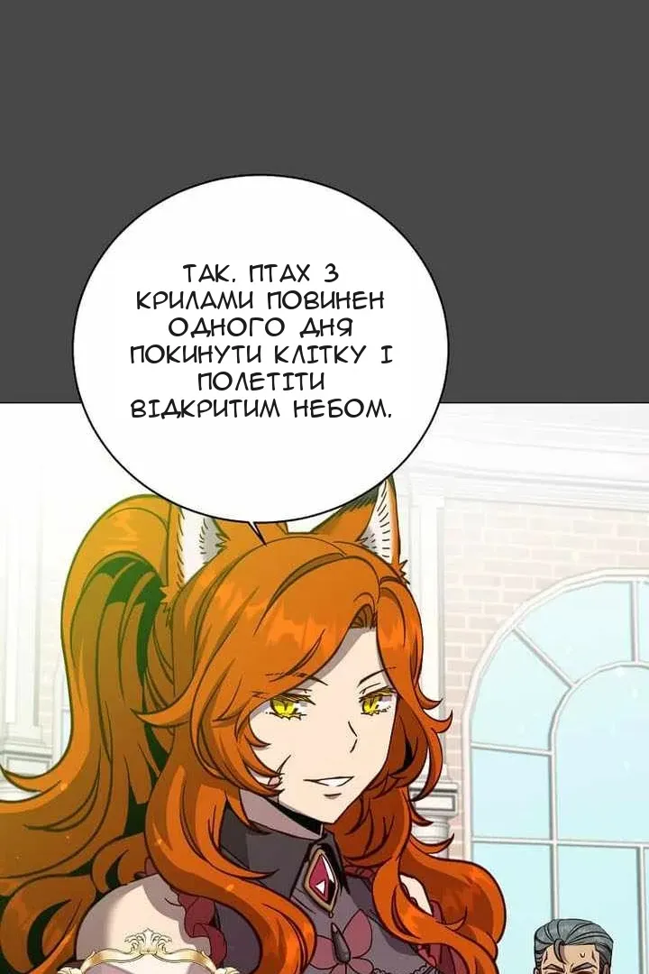 Сторінка 27