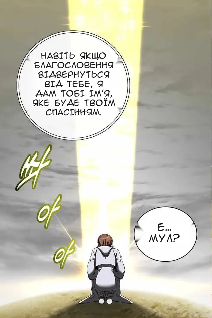 Сторінка 11
