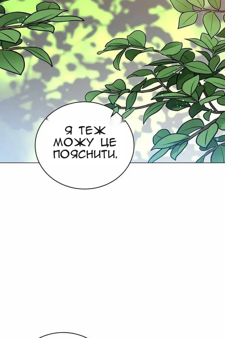Сторінка 26