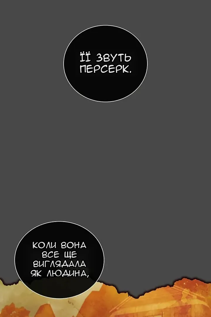 Сторінка 78