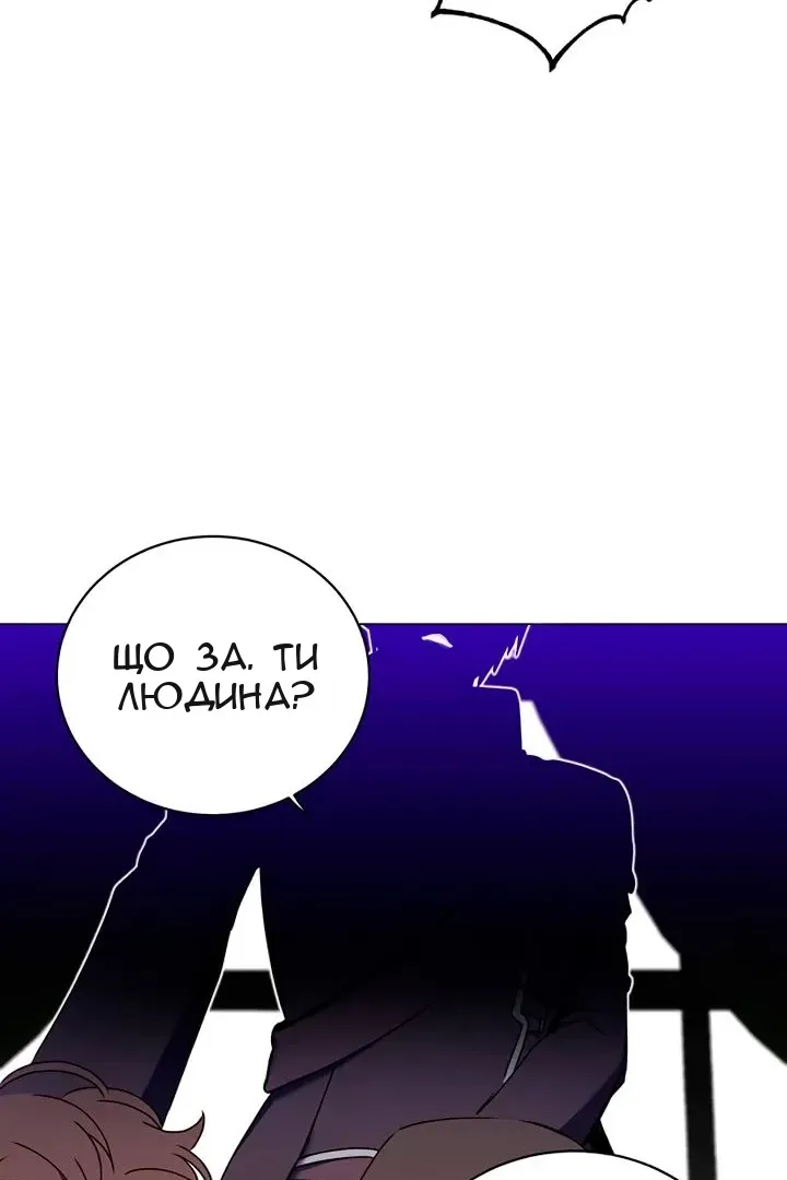 Сторінка 28
