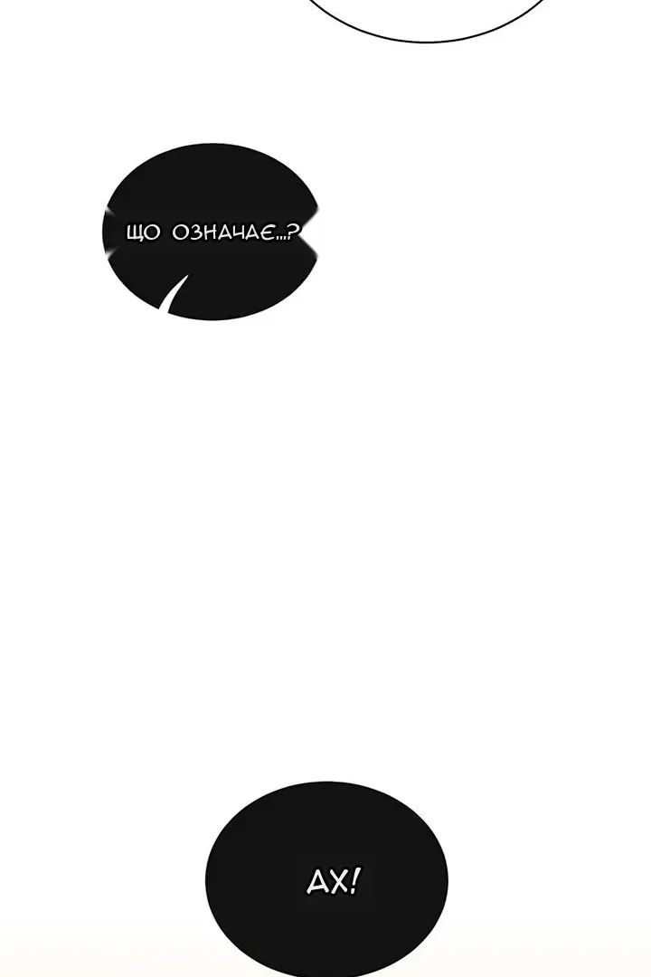 Сторінка 68