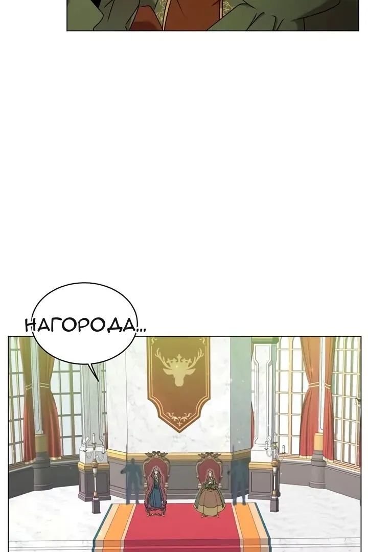 Сторінка 5