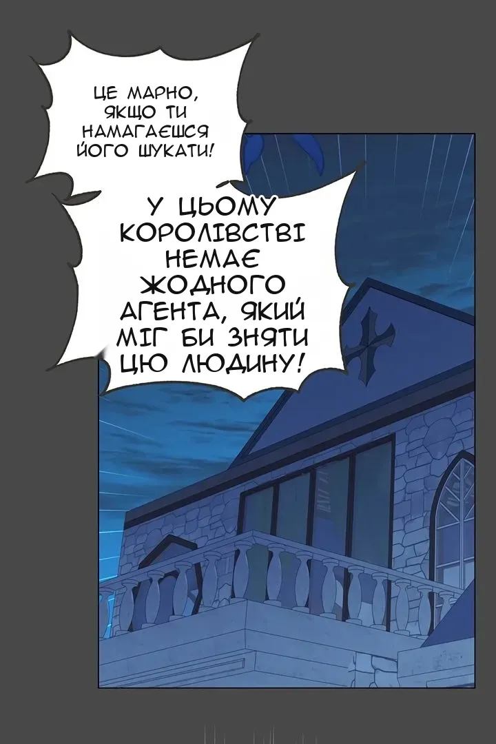 Сторінка 17