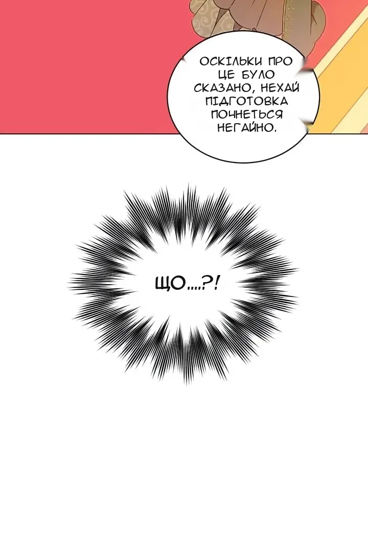 Сторінка 31