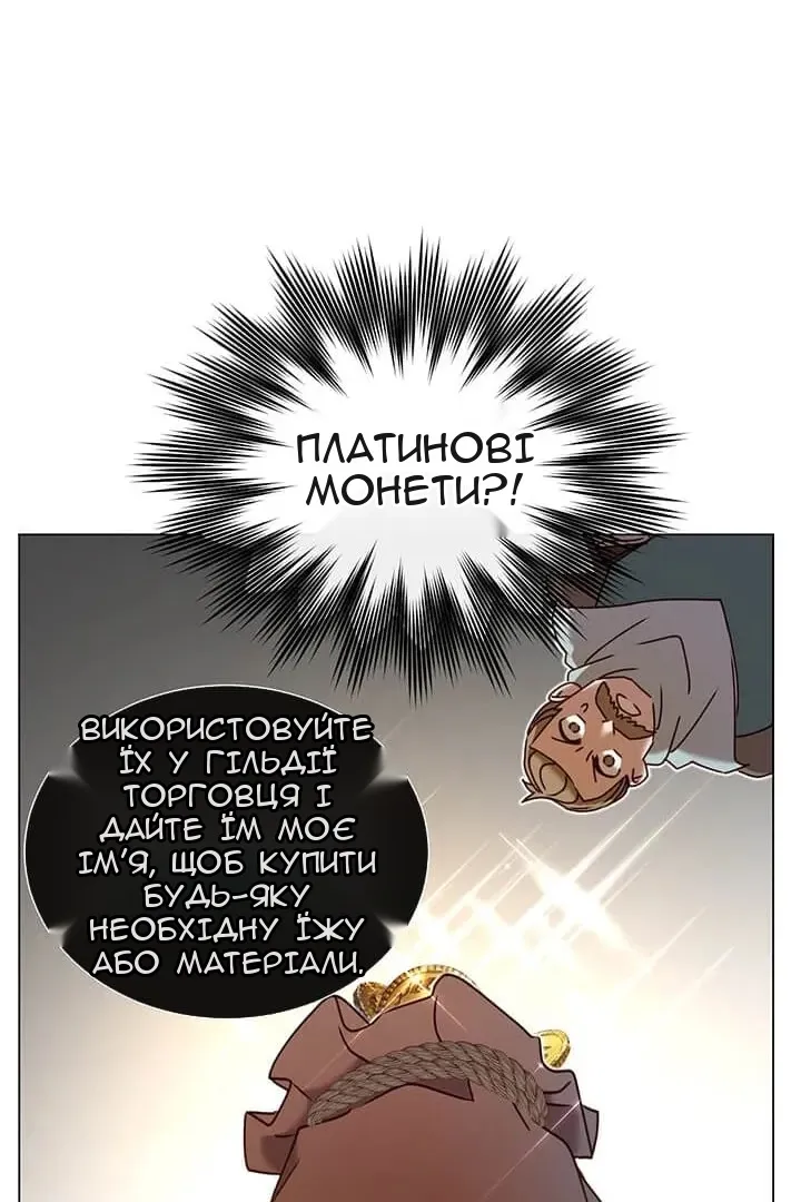 Сторінка 29