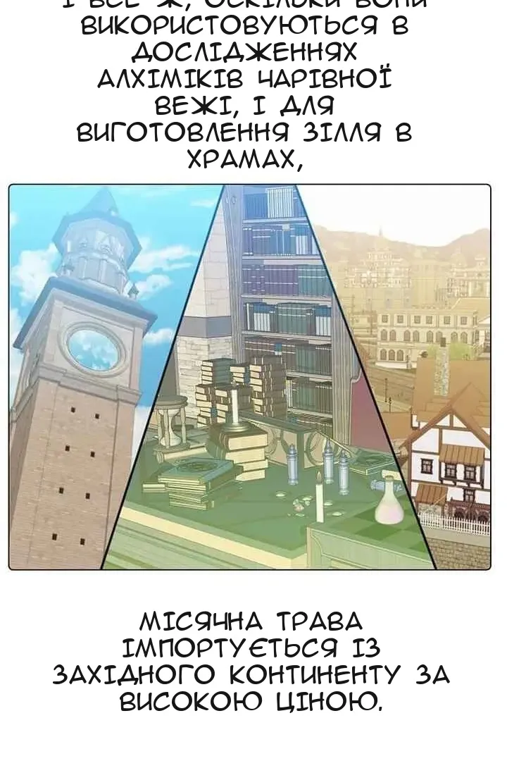 Сторінка 4