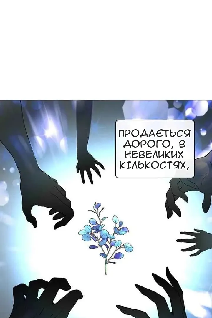 Сторінка 5