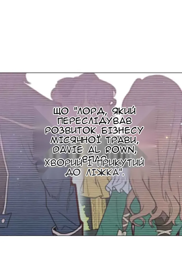Сторінка 28
