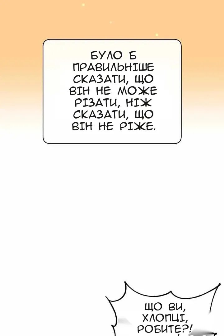 Сторінка 33