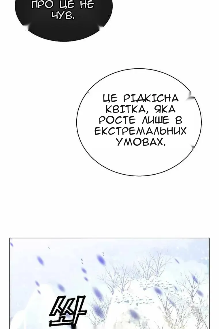 Сторінка 17