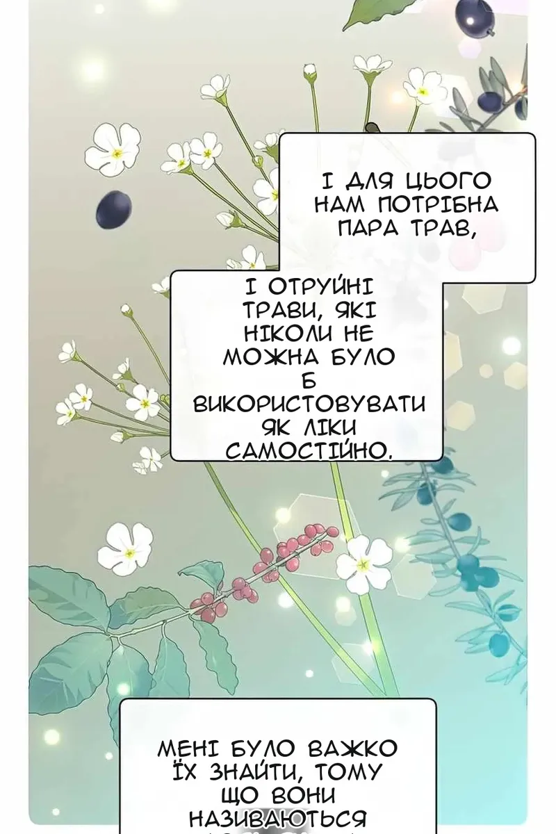 Сторінка 88