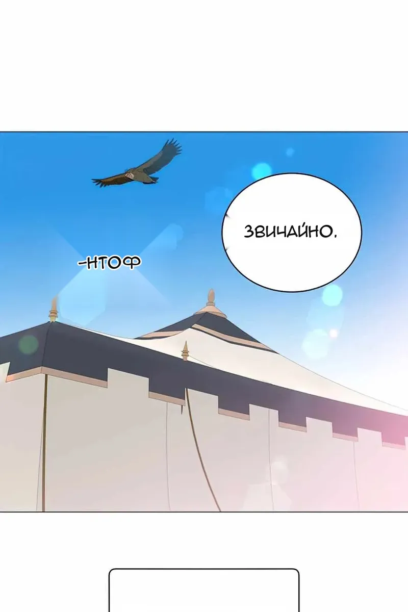 Сторінка 91