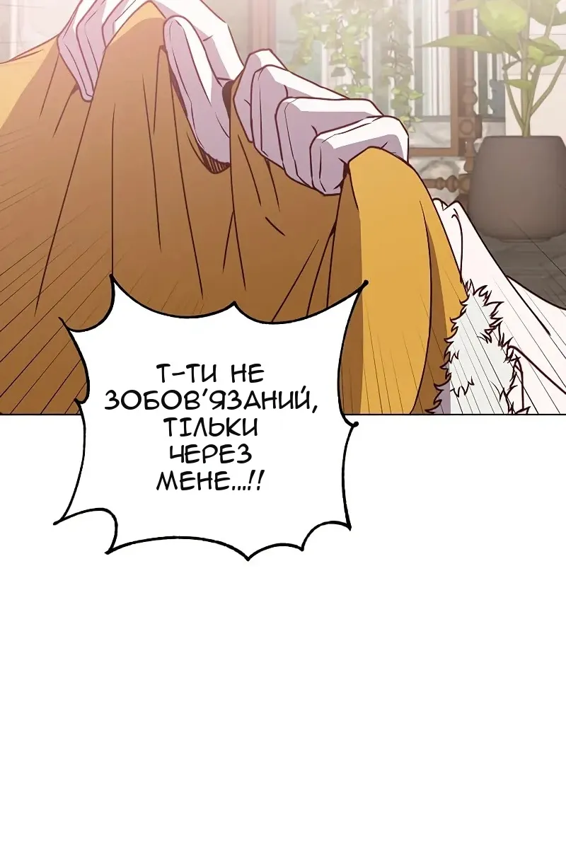 Сторінка 17