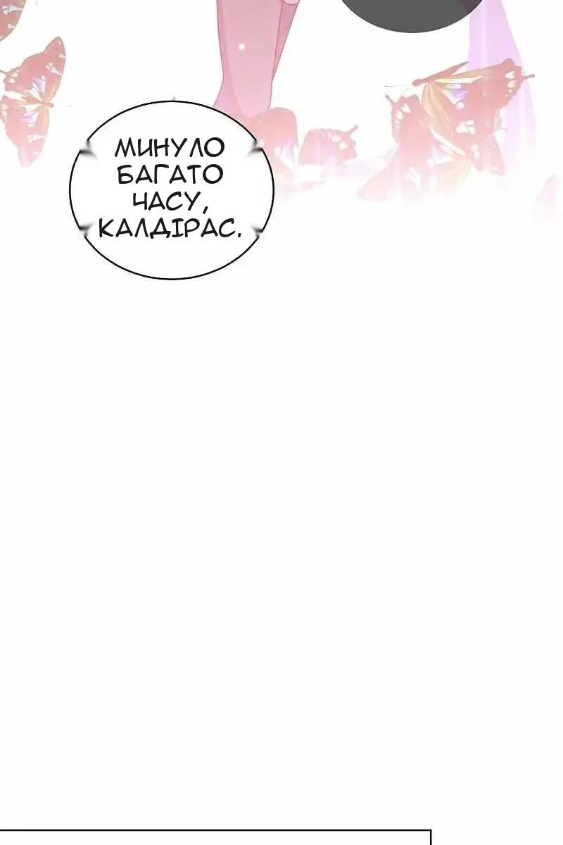 Сторінка 17