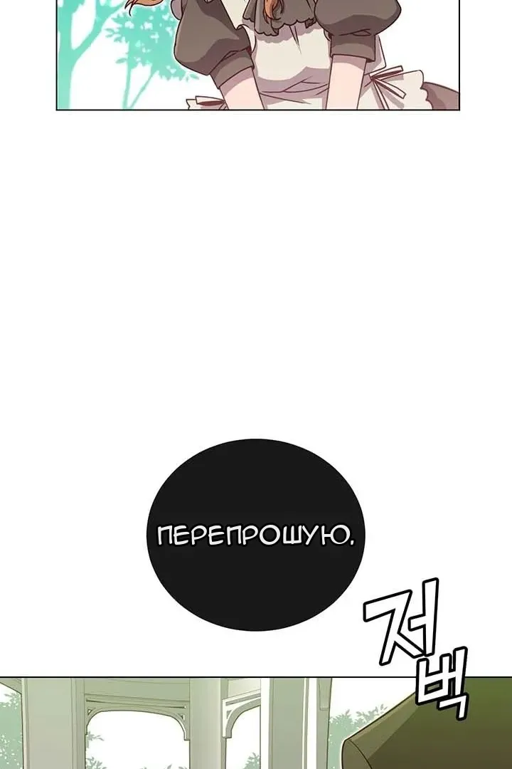 Сторінка 31