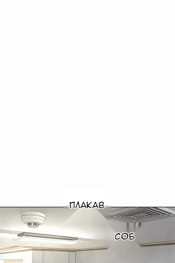 Сторінка 28