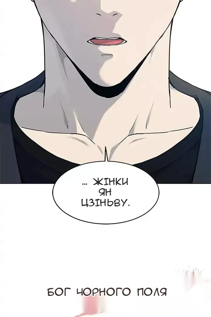 Сторінка 111