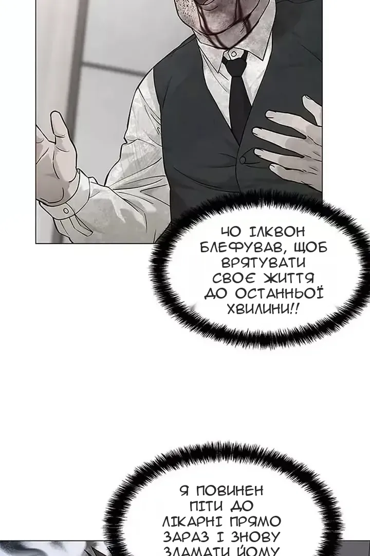 Сторінка 29