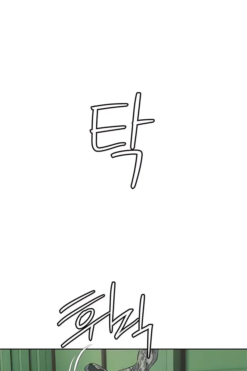 Сторінка 11