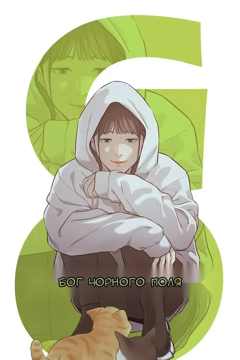 Сторінка 13