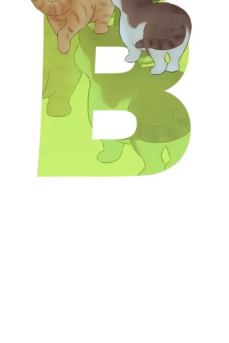 Сторінка 14