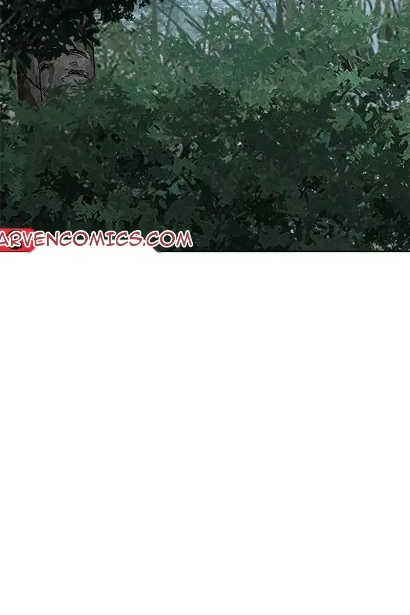 Сторінка 5
