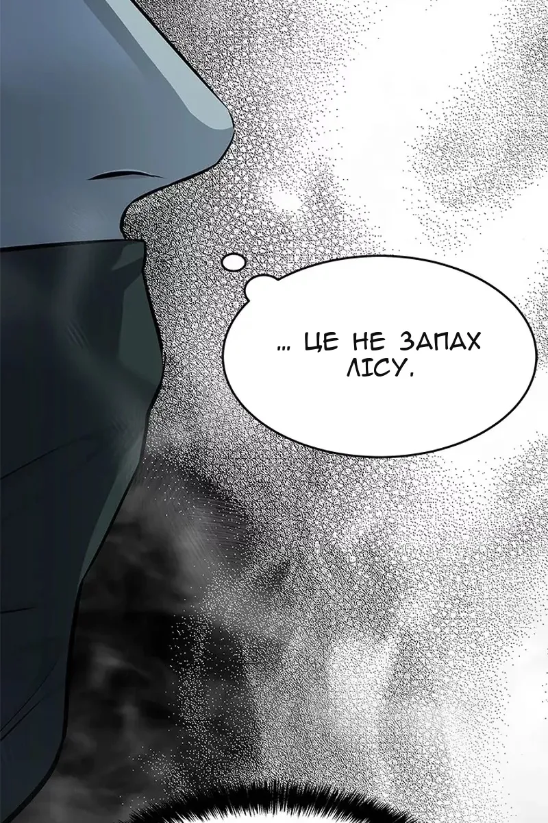 Сторінка 17